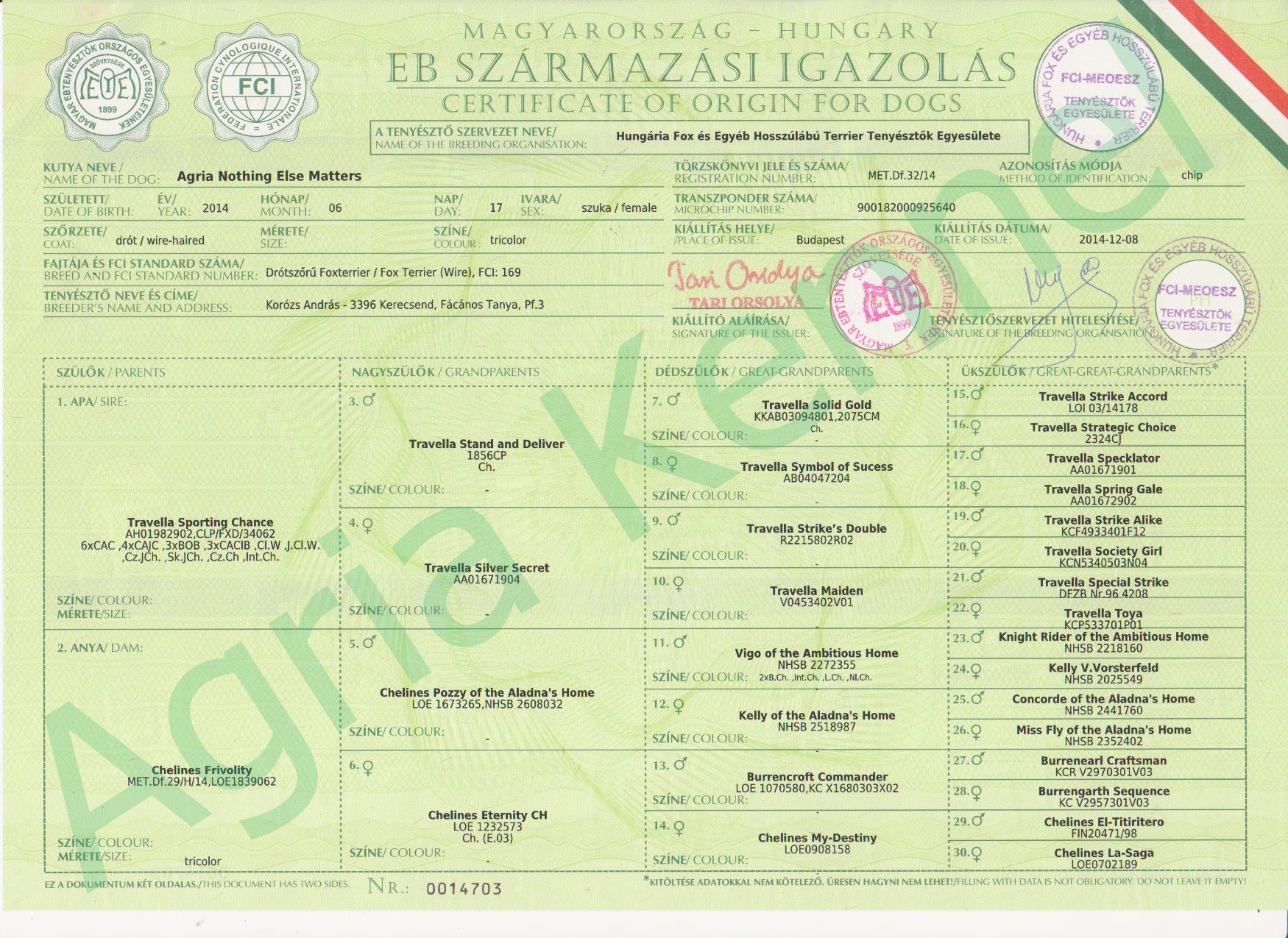 Agria Nothing Else Matters Agria kennel